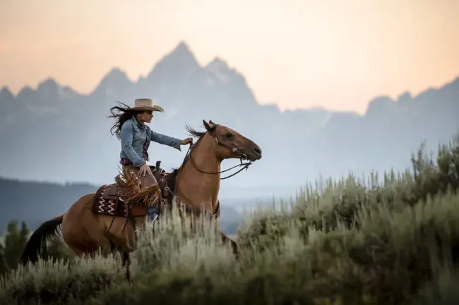 Wyoming State Shooting Association : 怀俄明州射击协会