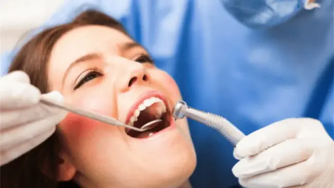 Total Dental Administrators : 牙科管理员总数