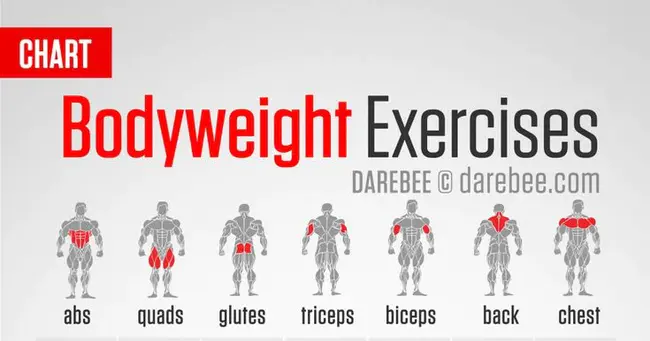 Fundamental bodyweight exercises : 基本体重训练