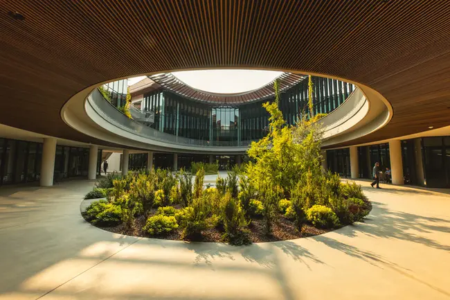 Stanford Humanities Center : 斯坦福人文中心