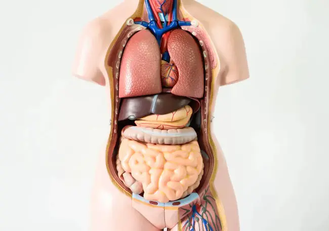 Partial Small Bowel Obstruction : 部分小肠梗阻