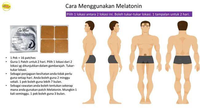 Pro Melanin Concentrating Hormone : 促黑色素浓缩激素