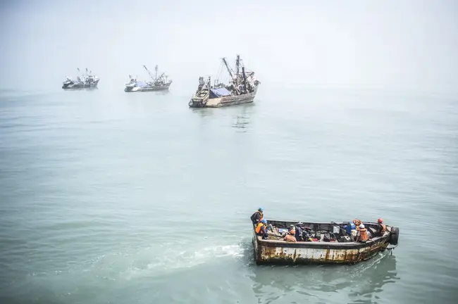 Fisheries Survey Vessel : 渔业测量船