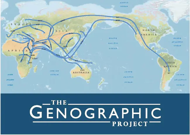 Human Accelerated Region : 人类加速区