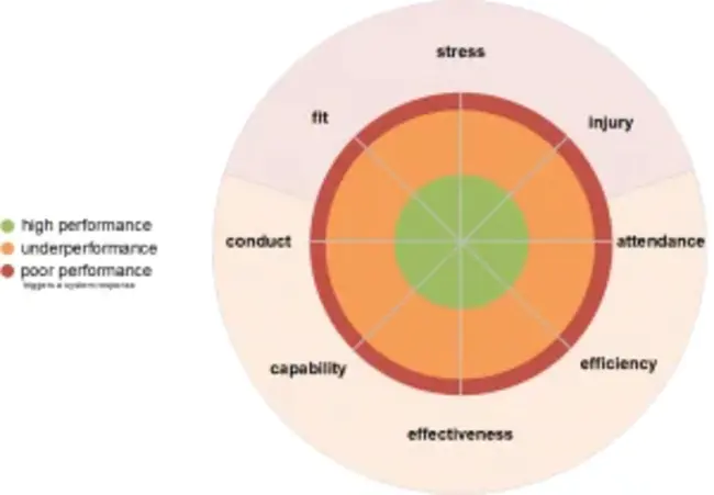 Performance Management and Development System : 绩效管理与发展体系