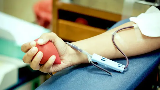 donantes potenciales vivos de riñón : 潜在的活体肾脏捐赠者