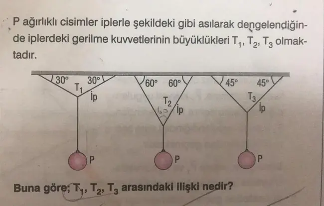 Türkiye Omurilik Felçlileri Derneği : T护rkiye omurilik fel_lileri derne_i