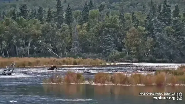 Bear River Association of Governments : 贝尔河政府协会