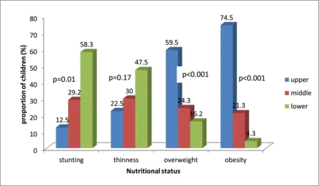 School Nutrition Action Group : 学校营养行动小组