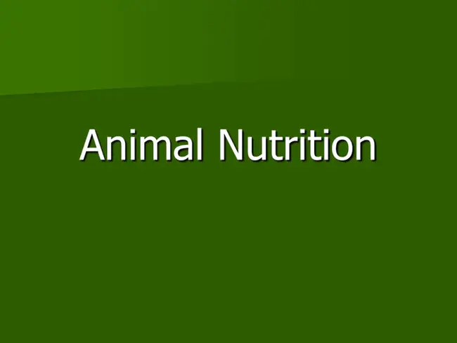 Animal Nutrition Association of Canada : 加拿大动物营养协会