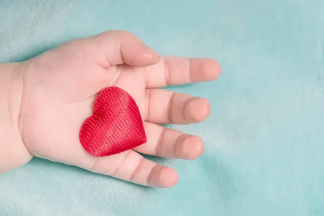 Congenital Heart Defects : 先天性心脏病