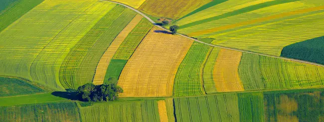 Sustainability Assessment of Food and Agriculture : 粮食农业可持续性评价