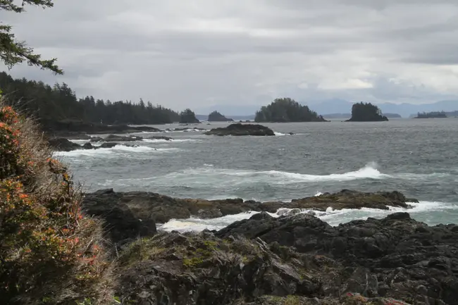 Ucluelet First Nation : 第一民族