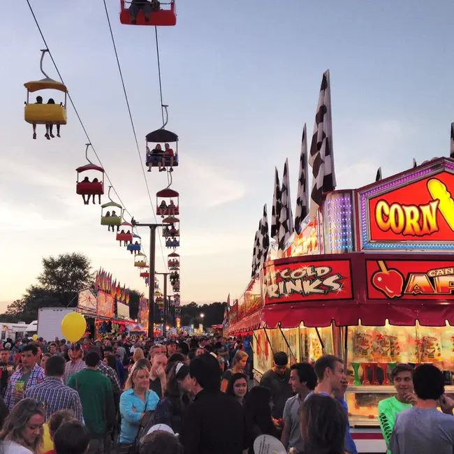 North Georgia State Fair : 北乔治亚州博览会