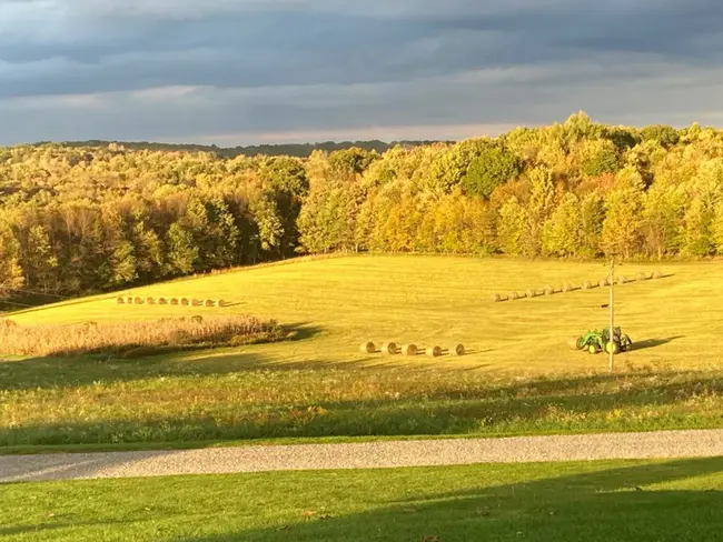 Pennsylvania Department of Agriculture : 宾夕法尼亚州农业部