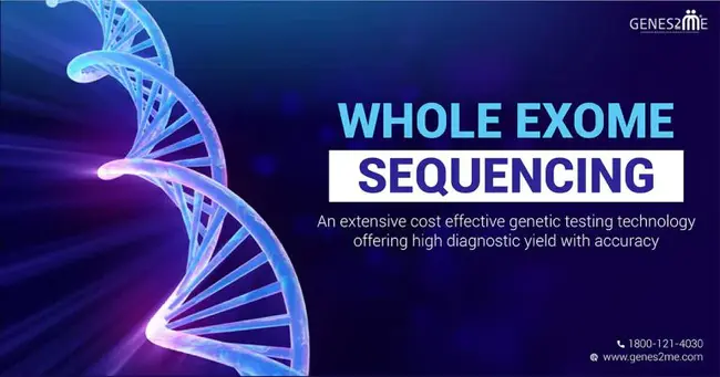 Exome Sequencing Project : 外显子测序项目