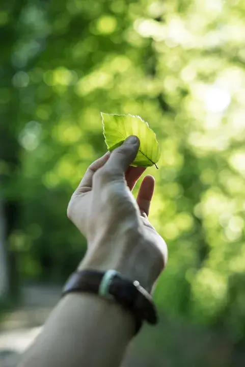 Environmental Ethics And Safety Corps : 环境伦理与安全部队