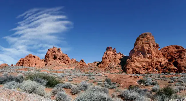 Nevada Landscape Association : 内华达州景观协会