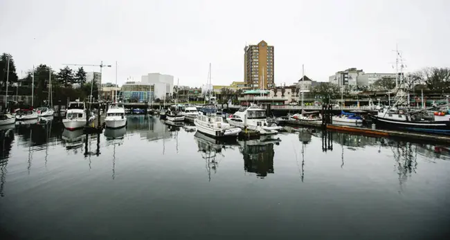 Nanaimo Old City Association : 纳奈莫古城协会