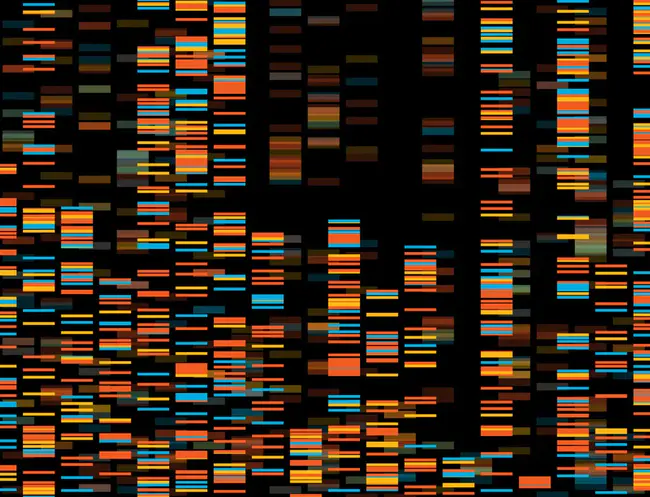 International Genetic Epidemiology Society : 国际遗传流行病学学会