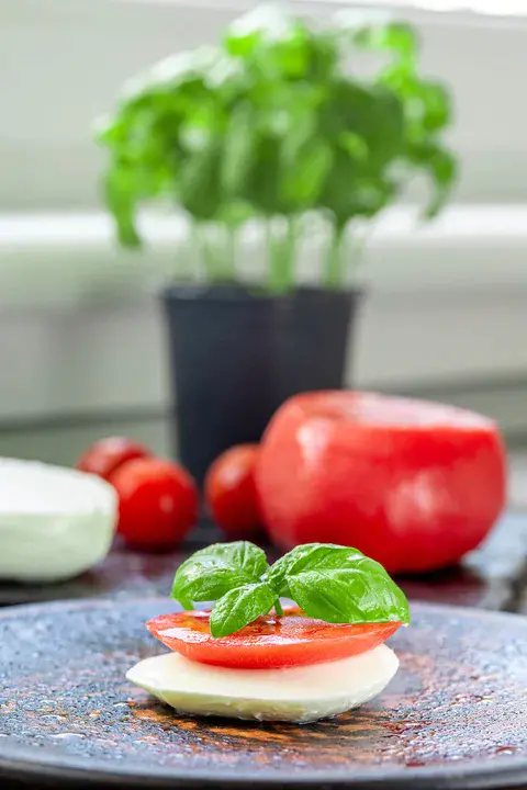 Tomato Basil and Mozzarella : 番茄罗勒和马苏里拉奶酪