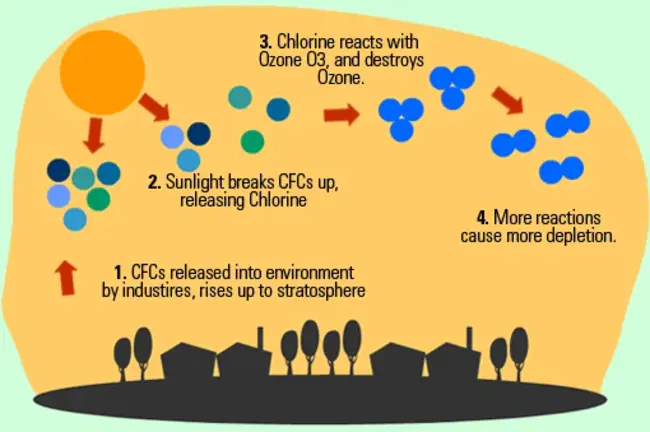 National Ozone Action Unit : 国家臭氧行动股