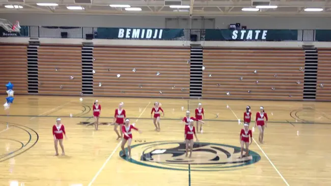 Bemidji High School : 贝米迪吉高中