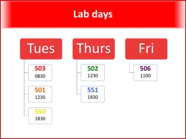 Biological Teaching Resource Center : 生物教学资源中心