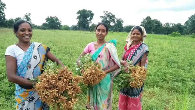 Women in Agriculture : 农业妇女