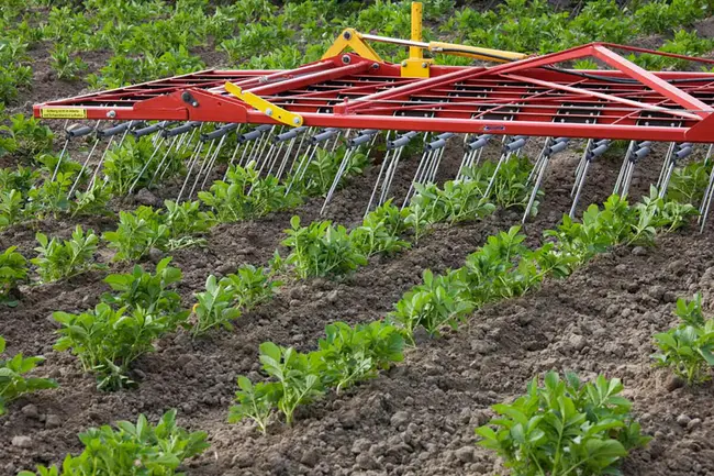 Landbouw Natuur en Voedselkwaliteit : 农业自然与食品质量