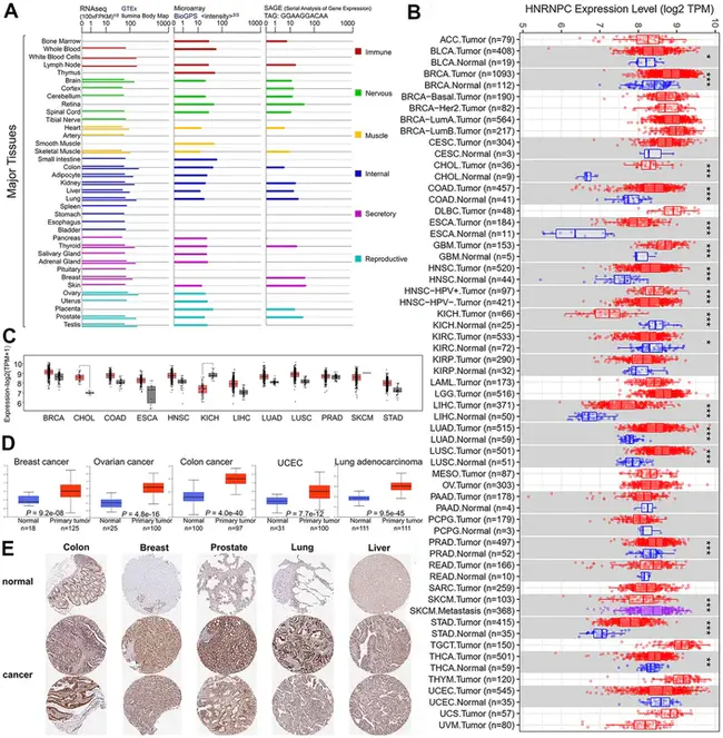 Pan-Cancer Analysis of Whole Genomes : 全基因组的泛癌分析