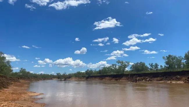 Fitzroy River Water : 菲茨罗伊河水