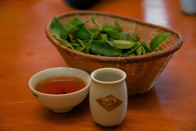 Taiwan Tea Experiment Station : 台湾茶叶实验站