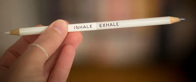 Exhale Airway Stents for Emphysema : 呼出气道支架治疗肺气肿