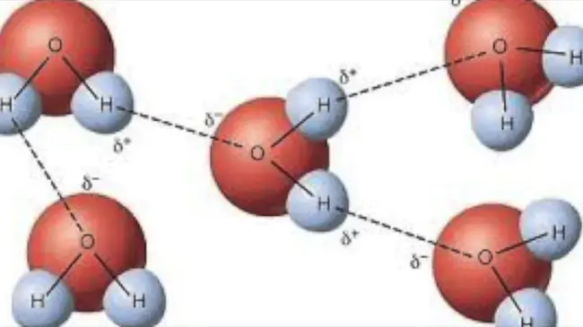 Hydrophobic Interaction Column : 疏水相互作用柱