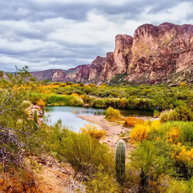 Arizona Prosecuting Attorneys Advisory Council : 亚利桑那州检察律师咨询委员会