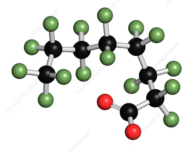 Perfluorooctanoic Acid : 全氟辛酸
