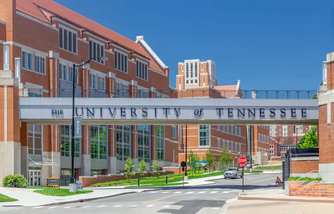 Tennessee University Faculty Senates : 田纳西大学教授