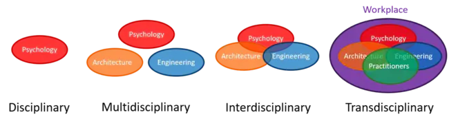 Transdisciplinary Research on Energetics and Cancer : 能量学与癌症的跨学科研究