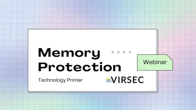 Memory Protection Devices : 内存保护设备