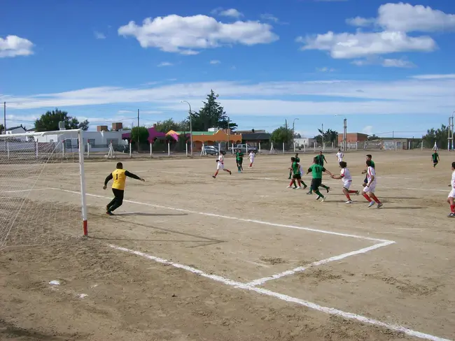 Federação Portuguesa de Rugby : 葡萄牙橄榄球联合会