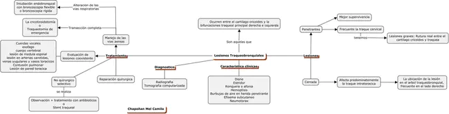 National Trauma Registry : 国家创伤登记处