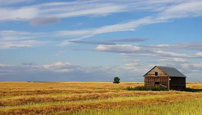 Saskatchewan Horse Federation : 萨斯喀彻温省马联合会