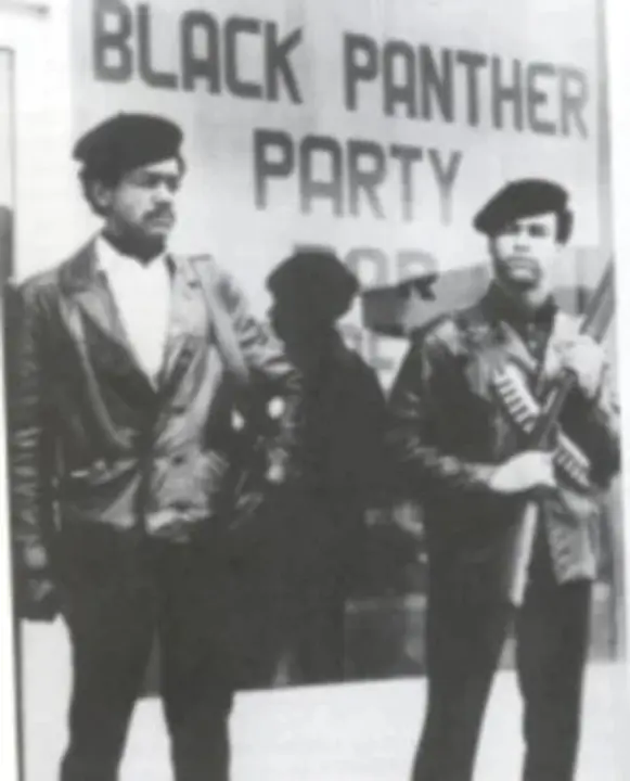 Black Panther Party : 黑豹派对