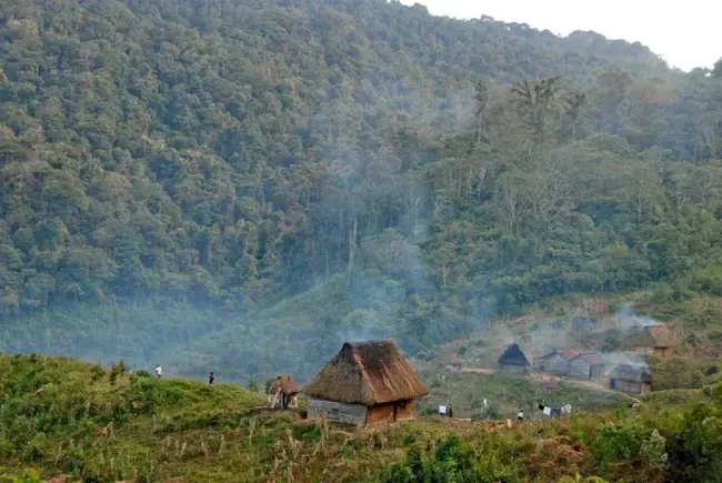 Community Cloud Forest Conservation : 社区云林保护