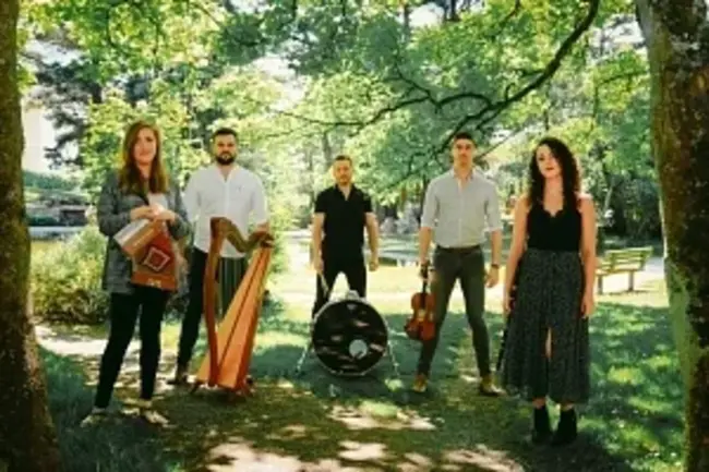 Newport Folk Festival : 纽波特民俗节