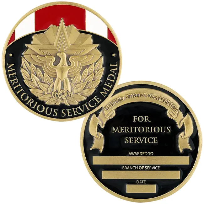 Meritorious Service Medal : 服役有功奖章