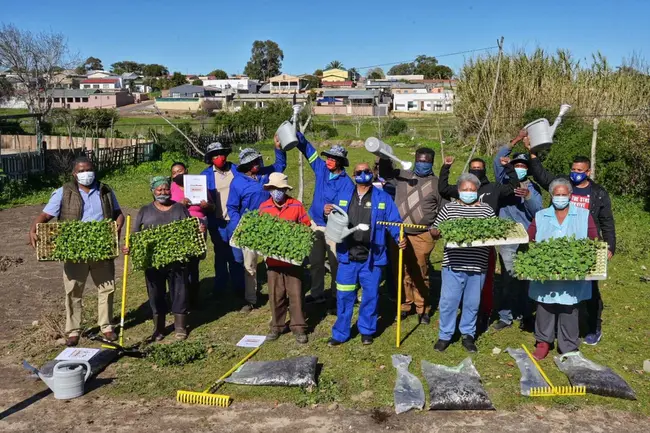 Urban Farming Institute : 城市农业研究所