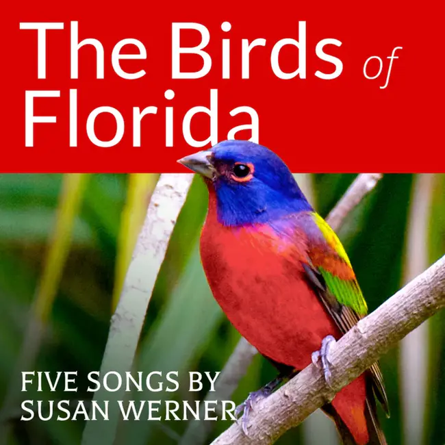 Florida Bird Conservation Initiative : 佛罗里达鸟类保护计划