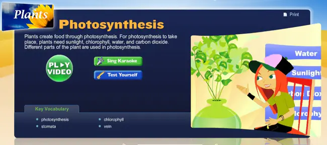 Photosynthetic Mutant Library : 光合突变体库